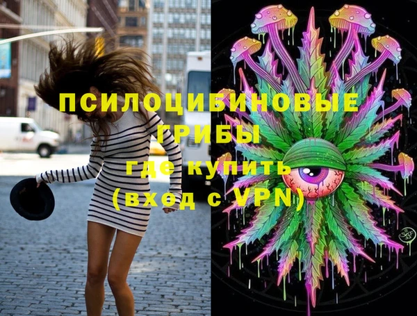 синтетический гашиш Приозерск