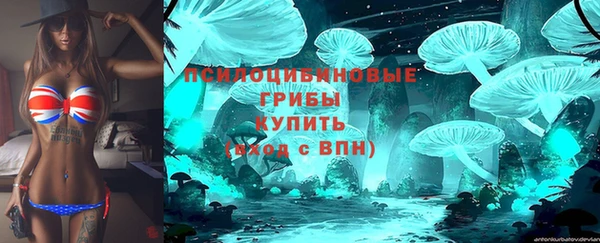 гашик Пролетарск