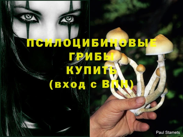 синтетический гашиш Приозерск