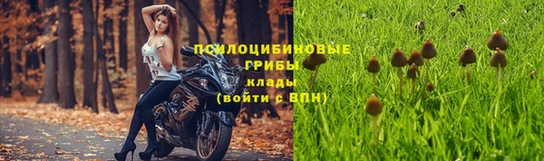 мескалин Покровск