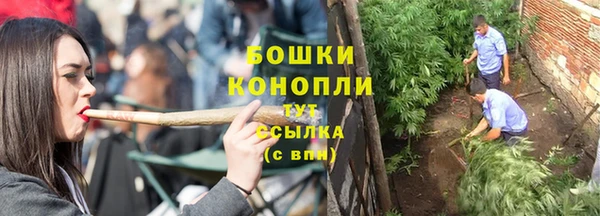 ПСИЛОЦИБИНОВЫЕ ГРИБЫ Анива