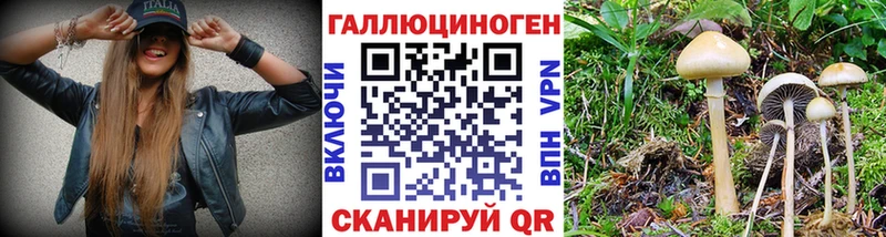 Псилоцибиновые грибы MAGIC MUSHROOMS  Собинка 